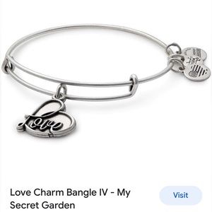 Alex and Ani Love Silver Charm IV My Secret Garden Bracelet Boho Bangle 2017 GUC